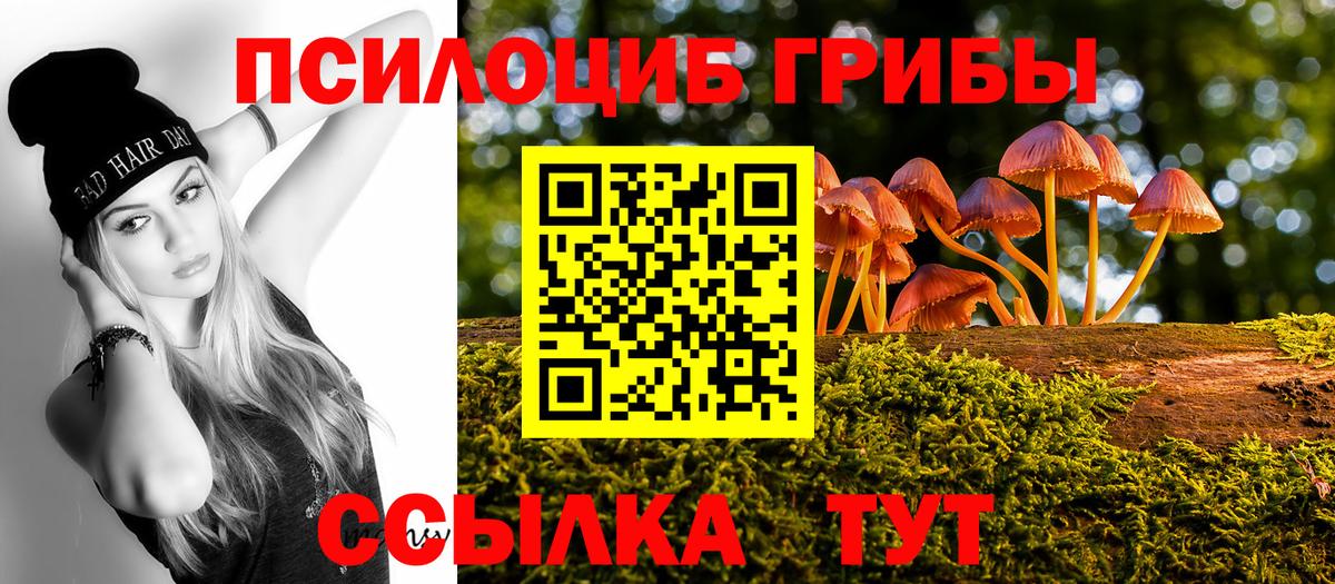 где можно купить наркотик  Вход с VPN  Ессентуки  Псилоцибиновые грибы GOLDEN TEACHER 