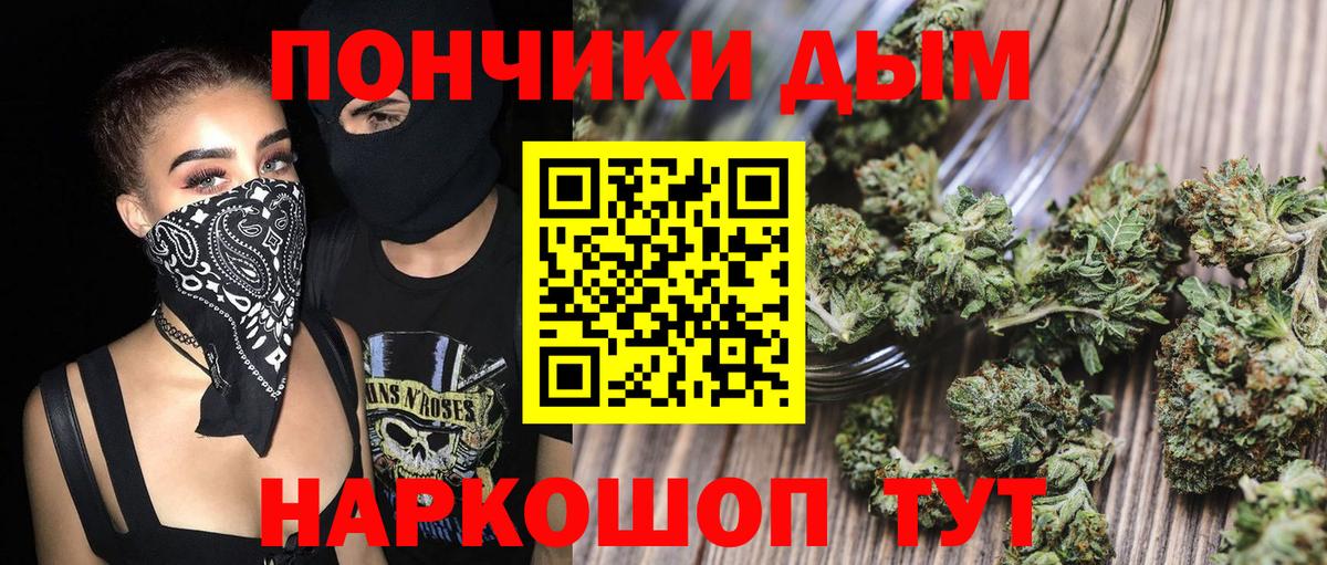 Канабис план Ессентуки